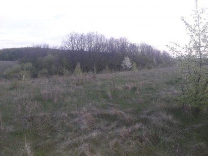 Земельна ділянка під забудову Вінниця