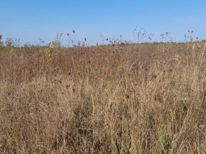 Земельна ділянка, вісім соток під садівництво. Район Академічного Вінниця