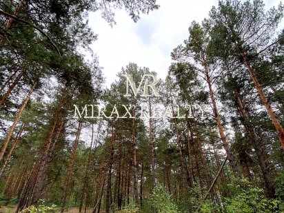 Продажа эксклюзивного участка 10+10 сот лес Киев Деснянский район Киев