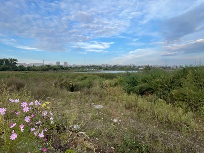 Продам земельні ділянки 36 соток з виходом на Вишенське озеро Винница