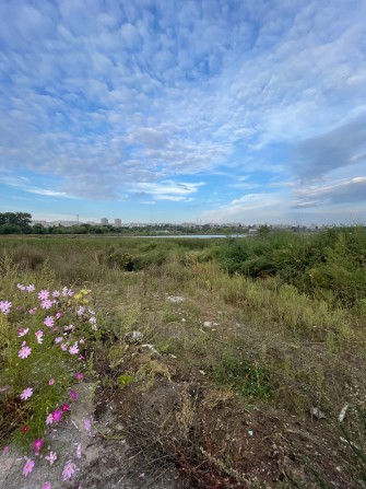 Продам земельні ділянки 36 соток з виходом на Вишенське озеро - фото 1