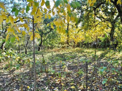 Ділянка 22 с., житлова, вул. П. Дорошенка,.Старе місто. Вінниця