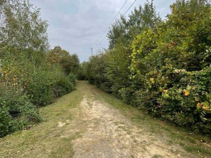 Продаж земельної ділянки по вул.Джерельна.