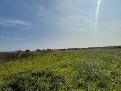 Продаж 80 сотин в Сторожниці