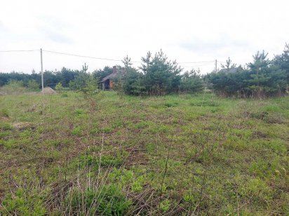 Ділянка на Смоківці біля лісу (26103688) Житомир