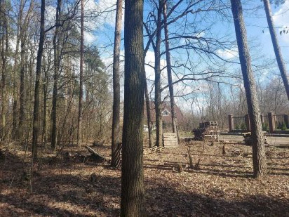 Ділянка 10 соток з соснами Житомир (26133144) Житомир