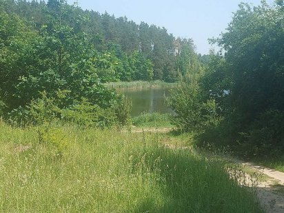 Ділянка на Богунії біля озера (2691329) Житомир