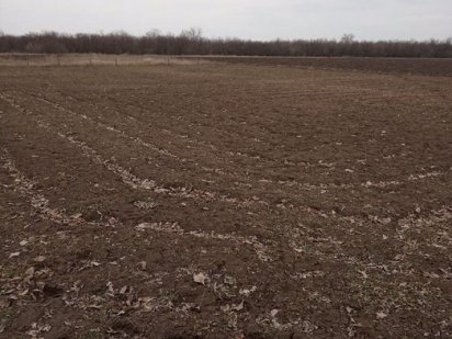 Продам дачный участок