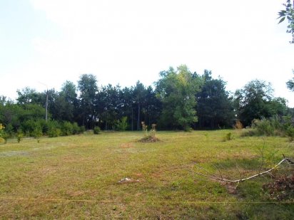 Останні 2-і земельні ділянки на Великому лузі.