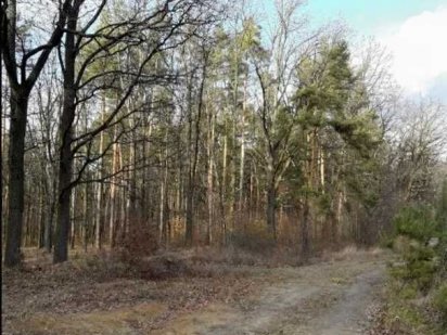 Продаж земельної ділянки 11,4 сот. на Богунії.(26105874) Житомир