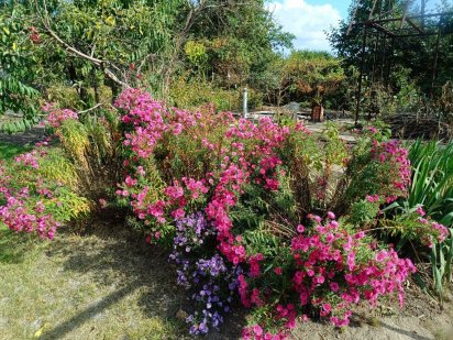 Дачный участок в черте города, земля, дача