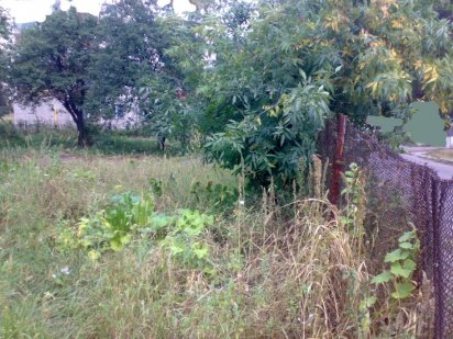 продам участок 14 соток коммерческого назначения. Центр Житомира Житомир