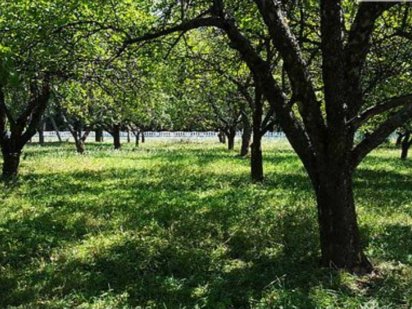 Продається земельна ділянка район Гавришівка 5827