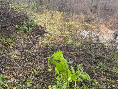 Земельна ділянка Голоско Львов