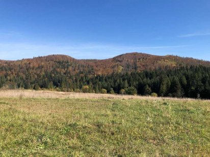 Продам земельну ділянку біля лісу дуже круте місце Львів