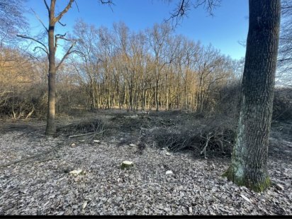 Собранецька Ужгород