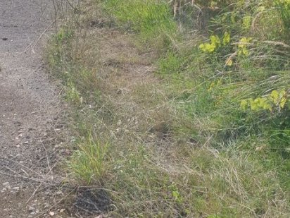 Ексклюзивна пропозиція ! Ужгород