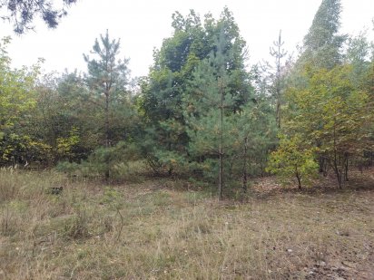 Срочно! Терміново! Власник. Земля під забудову в Биківні (Быковня) Киев