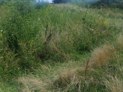 Продам ділянку 6 сот. вул Стефаника Ужгород