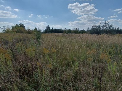 Продам ділянку у місті Житомир