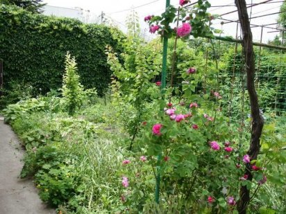 Участок на 9 ст.Фонтана