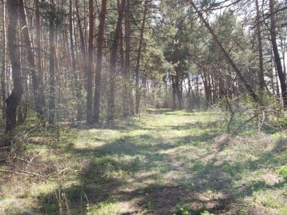 Продам ділянку землі Лісопарково з дозволом на будівництво Кропивницкий