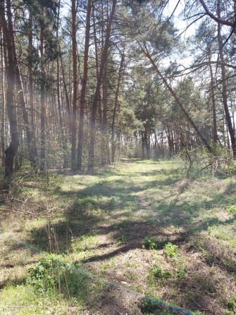 Продам ділянку землі Лісопарково з дозволом на будівництво - фото 1