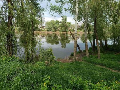 Участок с домом под новое строительство на берегу Курячего озера Дніпро