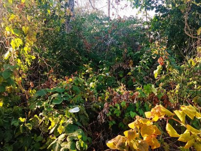 TP S4 Продам ровный участок 9 соток Лысая Гора Харків