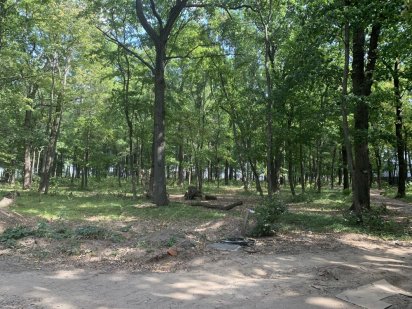 КП Форест продам ділянку 12,5 соток. НАЙНИЖЧА ЦІНА Харків