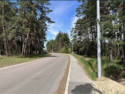 Без% Участок в сосновом лесу Пуща водица Київ