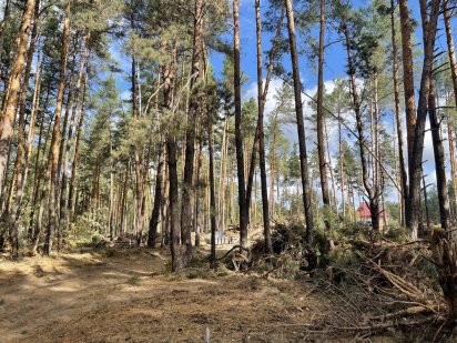 Без% Живописное место! участки в лесу Быковня Київ