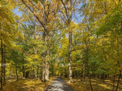 Лісопарк (Лесопарк), КМ Форест (Парк Хаус , Роял Клаб) 121881 Харків