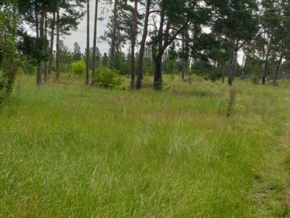 Продаж ділянки 40 сот., р-н Паперової фабрики Житомир