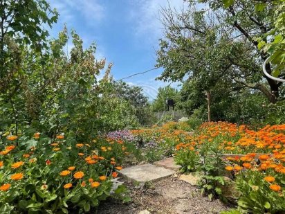 Продажа участка возле моря 6 соток Киевский район Одесса