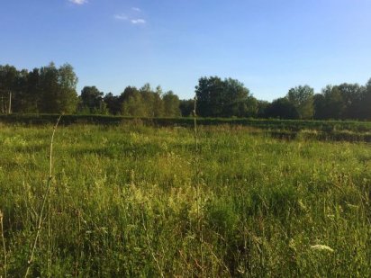 Земельный участок 2 га под промышленность и энергетику (можно под СЭС) Кропивницький