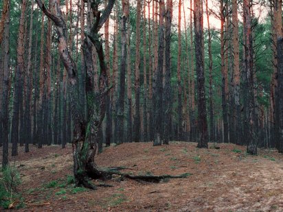 Быковня участок под застройку Киев