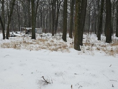 Лесопарк.КП Forest.Лучший участок.Первый при въезде 12 соток. Харків