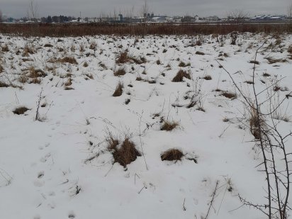 Участок 4,7 cот. Домік.  Київ. Метро Васильківська. Продам. Срочно Киев