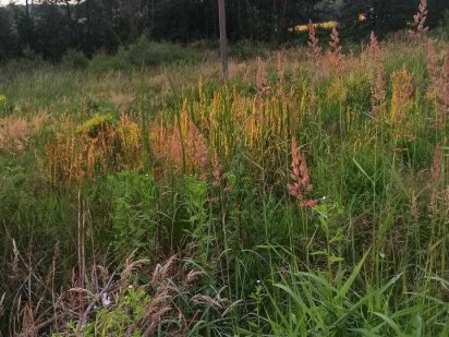 Продаж земельної ділянки під забудову 6сот в місті Шевченківський р-н