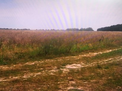 Продам участок земли 18. 5 гектар. Киев