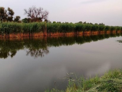 Самаровка.Полуостров Самарский Дніпро