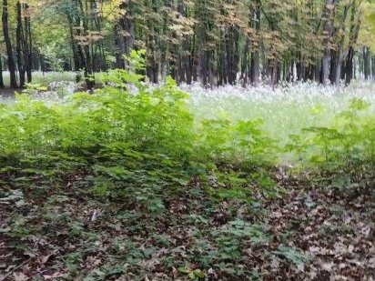 Продам ділянку в Індустріальному р-ні, Східний мкрн Харків