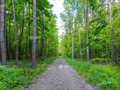 10соток Лісопарк (Лесопарк, рядом Парк Хаус, Форест, Роял Клаб) 118281 Харьков