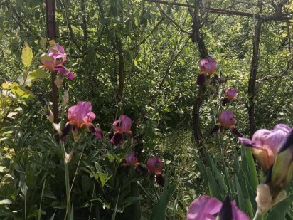 Земельный участок твоей мечты. Пора покупать Одесса