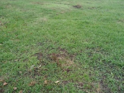 Продам участок 10 соток,Березановка,СТ Надежда,полтавское шоссе Дніпро