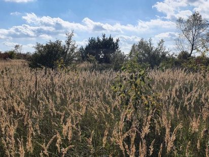 Земельна ділянка Білогорща