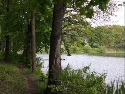 Обмен-участок 35м. до озера на автом.кварт.цена договорная. Харків