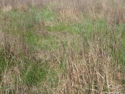 Продам участок 8 соток , р- н Холодная Гора, Залютино.25000 торг. Харків