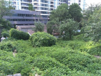 Печерск, участок 15 соток рядом IQ Business-Center и ЖК PecherSKY Киев